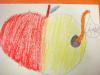 Apfel-Bild 27